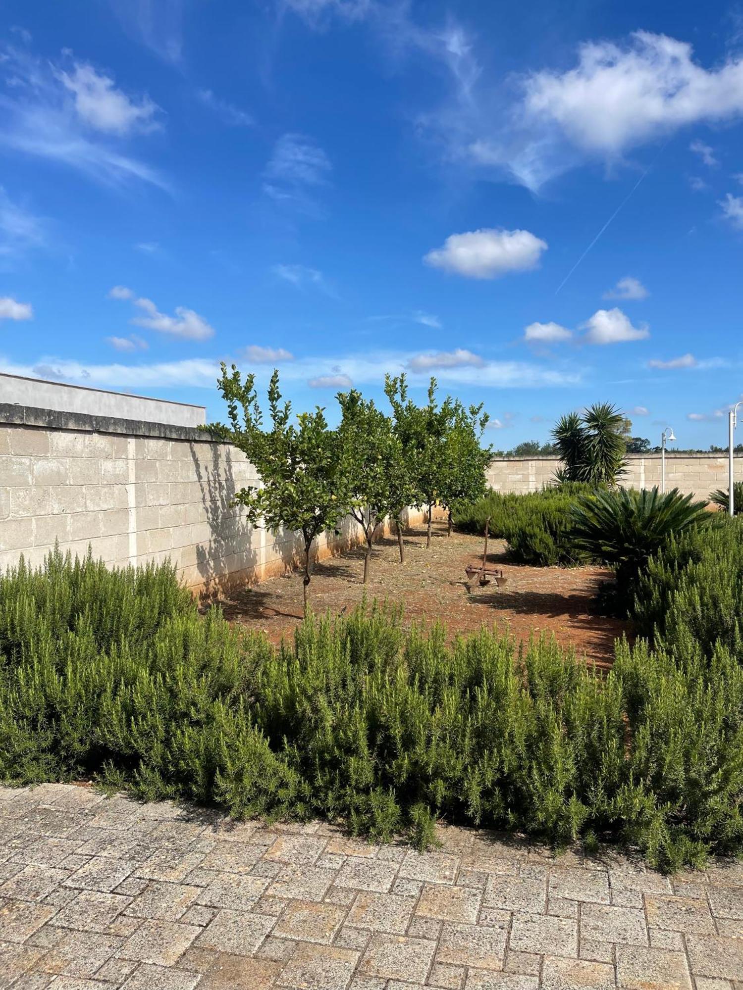 Masseria Don Bonifacio Castellana Grotte Dış mekan fotoğraf